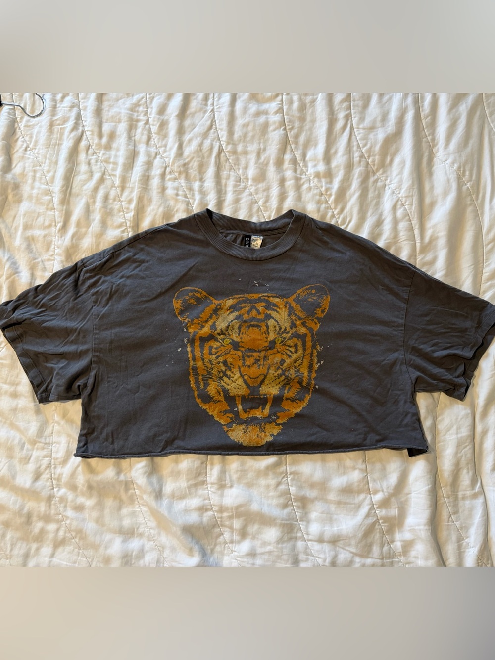 H&M Crop Tee with Tiger Graphic